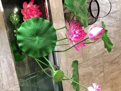 -禧鳳記·猪肚鸡火锅(玖洲道店)