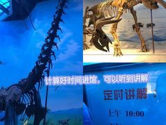 -辽宁古生物博物馆