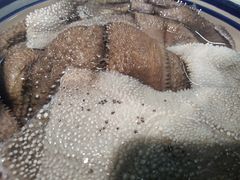 -毛二老火锅