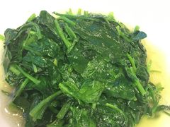 -阿英煲(凉城路店)