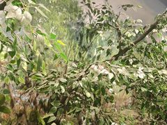 -贵州省地质博物馆