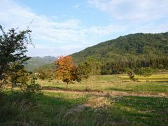 -塔川景区
