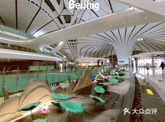 打卡国内最大机场，设计感超棒｜北京大兴机场