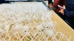 -太湖雪蚕桑文化园