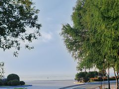 -贡湖湾湿地公园