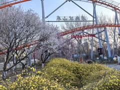 -朝阳公园游乐园