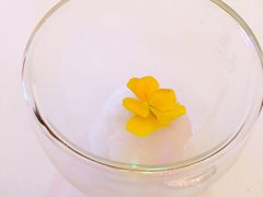 -Acqua海蓝意大利餐厅