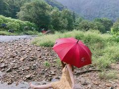 -广州市石门国家森林公园