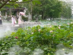 -惠州西湖丰渚园