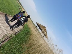 -西青郊野公园