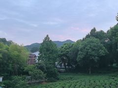 -野蔓果·山野菜(西湖景区·龙井茶田店)