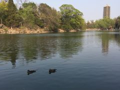 -农园餐厅(北京大学店)