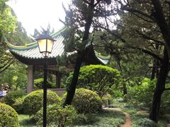 -叶家花园