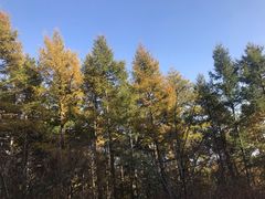 -白草畔自然风景区