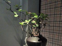 -会仙楼(金融街店)