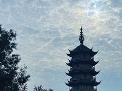 -红梅公园