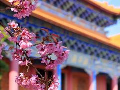 -崇圣寺三塔文化旅游区