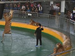 -泉州海丝野生动物世界