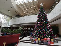 -大连富丽华大酒店