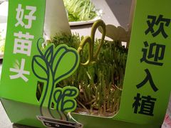 -海底捞火锅(江宸天街店)