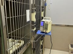 -爱妮康宠物医院·干细胞免疫细胞·肿瘤·心脏(张江店)