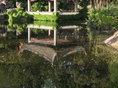 -叶家花园