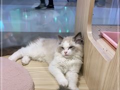 -KKV(深圳宏发大仟里店)