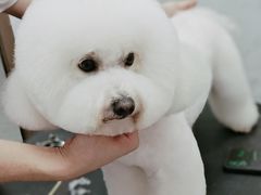 -瑞鹏宠物医院·超声·骨科·奇麟分院(蜀都万达店)