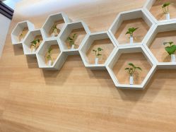 -痘院士专业祛痘皮肤管理