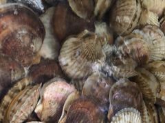 -鑫渔港海鲜本地菜·山海关浑锅(东戴河店)