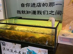 -91小龙虾·香辣蛙(蛇口店)