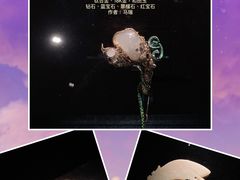 -深圳珠宝博物馆