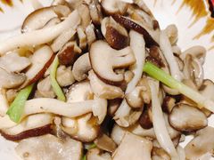 橄榄油草原蘑菇-西域阿里马新疆菜·清真(桂花路店)