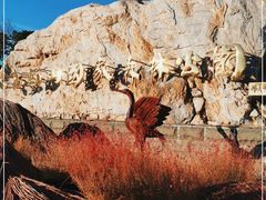 -北京西山国家森林公园