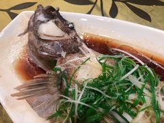 清蒸石斑鱼-星海.星海荟(铜锣湾店)