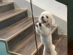 -默迹咖啡馆