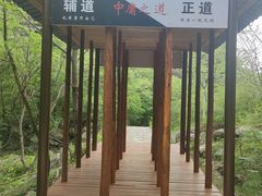 -青峰峡国家森林公园