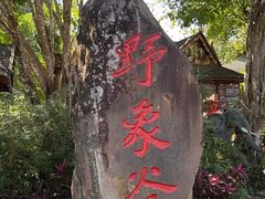 -野象谷景区