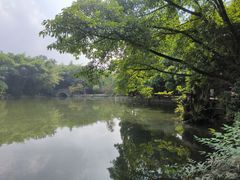 -棠湖公园
