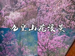 -九皇山景区