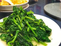 酒香豆苗-老吉士酒家(天平路店)