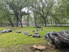 -秦皇岛野生动物园