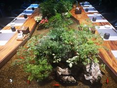 -森味薪火烧•烧鸟居酒屋•日本料理(望京店)