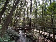 -同里国家湿地公园