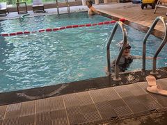 -成都安仁福朋喜来登酒店