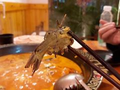 -三道苗苗鱼·美蛙黄辣丁(八里店)