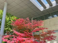-郑州植物园