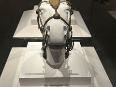 -秦始皇帝陵博物院(兵马俑)