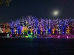 -枫花园汽车电影院(朝阳公园店)