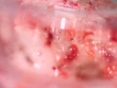 -奈雪的茶(亨特国际广场店)